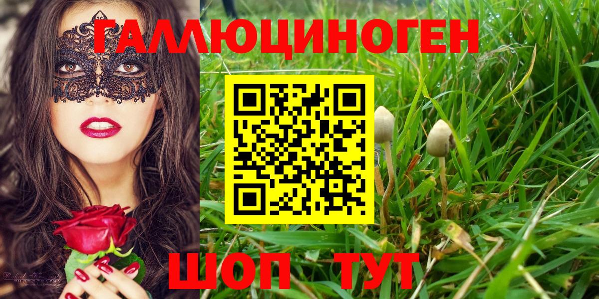 Псилоцибиновые грибы ЛСД Видное